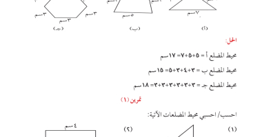محيط المضلع 