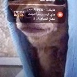 نور الدين وليد