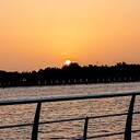 ضحى محمد بكري عبدالوهاب